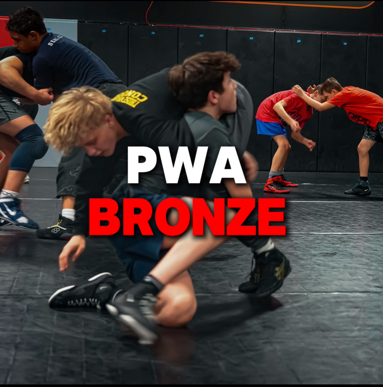 PURLER WRESTLING ACADEMY PROGRAMS - BRONZE