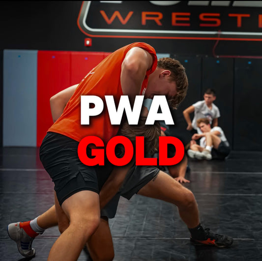 PURLER WRESTLING ACADEMY PROGRAMS - GOLD
